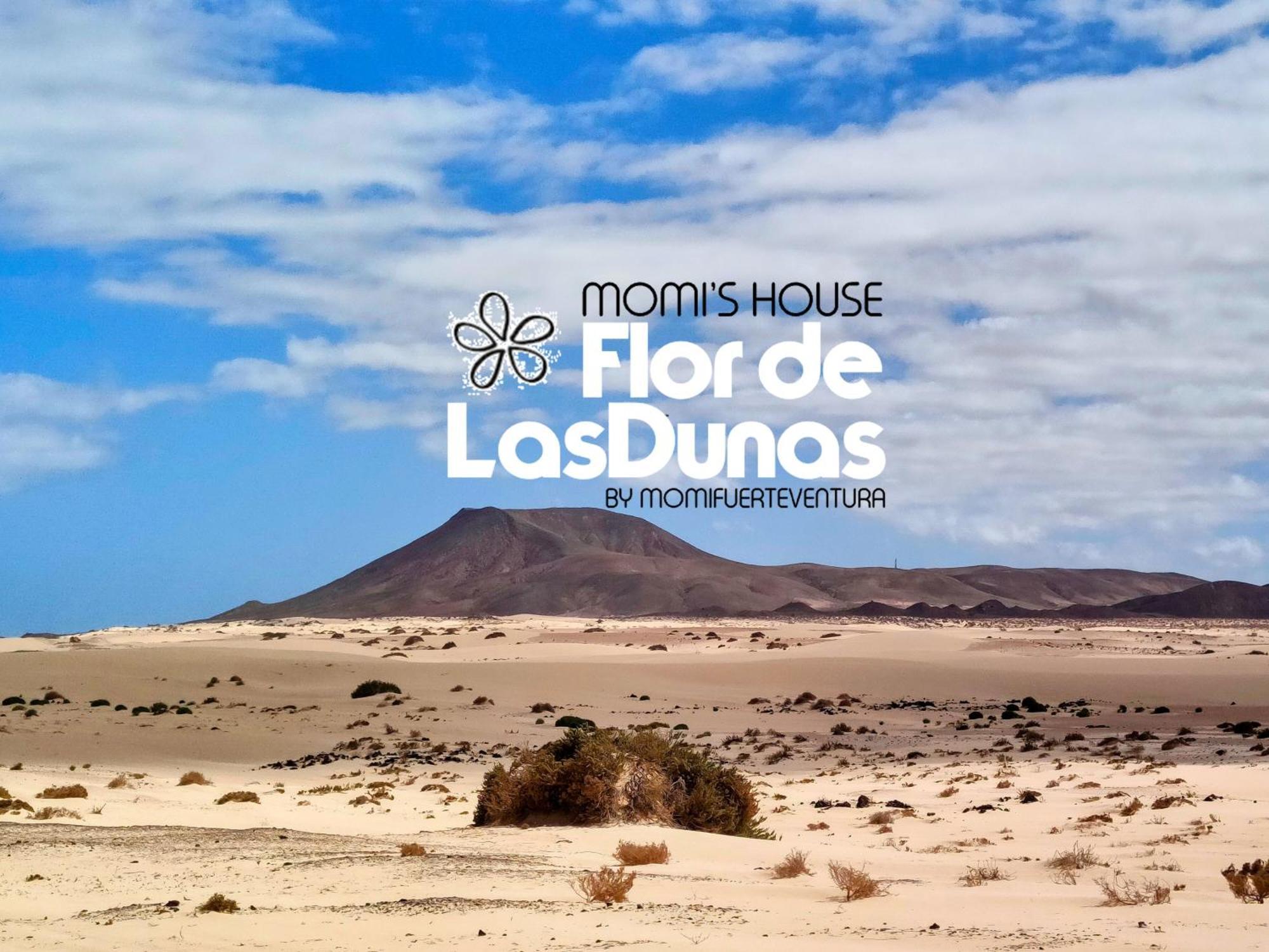 Flor De Las Dunas Pools Wifi Tennis Bikes For Free Corralejo Zewnętrze zdjęcie